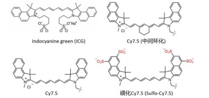 Cyhaiine7.5-DBCO | Cy7.5-DBCO | Cy7.5-二苯基环辛炔 荧光染料的激发与发射波长