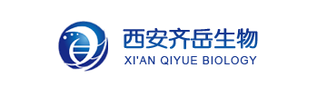 Cyhaiine7.5 NHS ester | Cy7.5-NHS ester | Cy7.5-活化酯 | cas:2708152-94-5 CY荧光染料的激发与发射波长