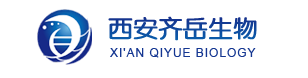 Sulfo-Cy7.5 alkyne | Sulfo-Cyhaiine7.5 alkyne | 磺化Cy7.5-炔烃 | 水溶性Cy7.5-ALK 的激发与发射波长