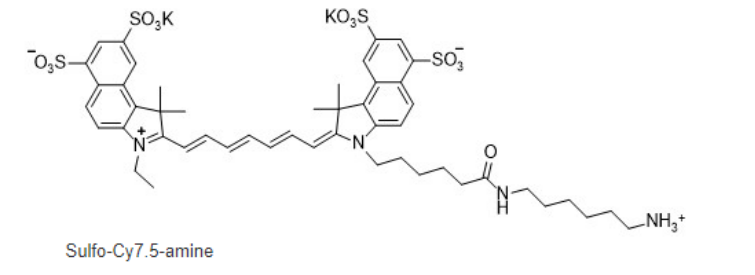 sulfo-Cy7.5 amine | sulfo-Cyhaiine7.5 amine | 磺化Cy7.5-氨基 | 水溶性CY7.5-NH2 荧光染料的溶解度以及激发与发射波长
