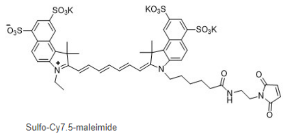 sulfo-Cy7.5 maleimide | 水溶性花青素Cy7.5-马来酰亚胺 | Sulfo-Cy7.5 mal 荧光染料的消光系数以及激发与发射波长