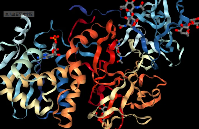 HHL,AL;非结合朱顶红凝集素(HHL,AL)，Unconjugated Hippeastrum Hybrid (Amaryllis) Lectin (HHL, AL)