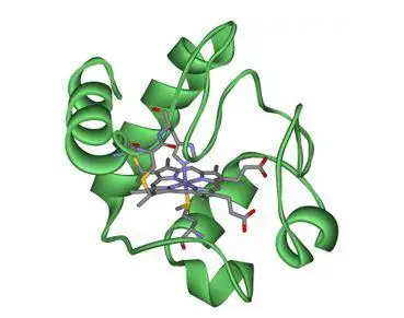 罗丹明RBITC标记细胞色素C|RBITC--Cytochrome c||罗丹明RBITC修饰Cytochrome c细胞色素C|细胞色素C 罗丹明标记物
