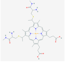 生物素-细胞色素C|  Biotin-Cytochrome c|其他名称:biotin-Cytochrome c-conjugate|生物素Biotin标记细胞色素C