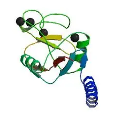 FITC-STL,PL;荧光素标记马铃薯凝集素(STL,PL)，Fluorescein labeled Solhaium Tuberosum (Potato) Lectin (STL, PL)