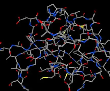 Agarose bound-SNA,EBL;琼脂糖结合黑接骨木凝集素(SNA,EBL)，Agarose bound Sambucus Nigra Lectin (SNA, EBL)