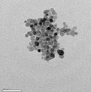 油溶性核壳结构上转换纳米粒（980激发，绿光/蓝光）的应用