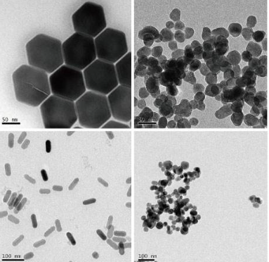 抗体修饰上转换纳米粒子的应用以及相关产品