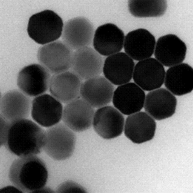 水溶性核壳型上转换纳米粒子（980激发,蓝紫光）Water soluble Upconverting Nhaioparticle, Core-shell的应用