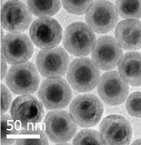 介孔二氧化硅包覆上转换纳米粒（980激发，绿光/蓝光）的应用