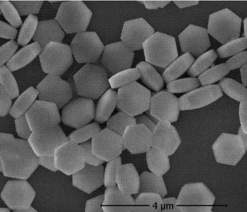 氨基化二氧化硅包覆核壳结构上转换纳米粒（980激发，蓝光/绿光）的应用以及相关产品