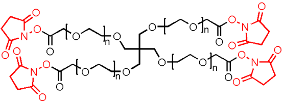 4Arm-PEG20k-NHS, 4Arm-PEG20k-SCM,四臂聚乙二醇20k活性酯l 分子量（PEG）:2K,5K,10K.20K