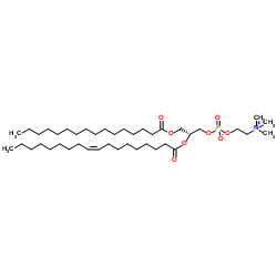 ​POPC/1-棕榈酰基-2-油酰基-sn-甘油-3-磷酸胆碱/2-Oleoyl-1-palmitoyl-sn-glycero-3-phosphocholine