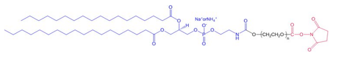 DSPE-PEG2K-NHS 磷脂-聚乙二醇-活性酯 DSPE-PEG2000-NHS 现配现用，避免反复冻融