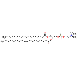 POPC/POPC  1-棕榈酰基-2-油酰基-sn-甘油-3-磷酸胆碱