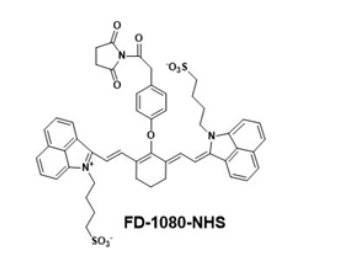 FD-1080 NHS 近红外二区荧光染料 发射：1080 nm  溶解：水溶性