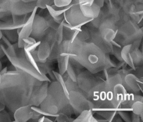 绿色荧光FITC和PEI修饰WS2二硫化钨纳米片 50nm