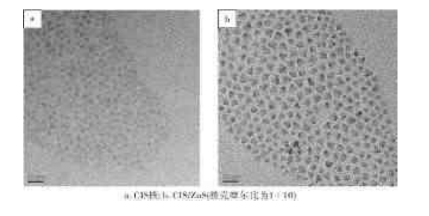 CuInS2/ZnS-PEG量子点|聚乙二醇PEG修饰近红外油溶性CuInS2/ZnS核壳量子点