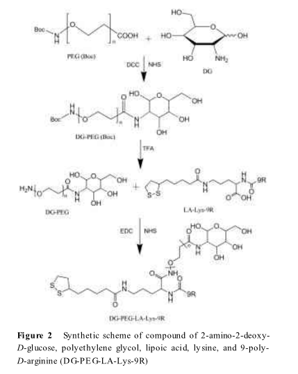 聚乙二醇-9聚精氨酸共价修饰碲化镉量子点(9R/DG-CdTeQDs)供应