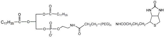 ​DSPE-PEG-Biotin/DSPE-PEG-Biotin/磷脂-聚乙二醇-生物素