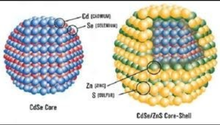 PEG-NH2,PEG-COOH修饰油溶性CdSe/ZnS量子点|聚乙二醇氨基/羧基修饰近红外CdSe/ZnS(硒化镉/硫化锌)量子点