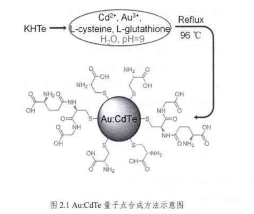 Au:CdTe量子点|各种金属元素掺杂近红外二区碲化镉CdTe量子点