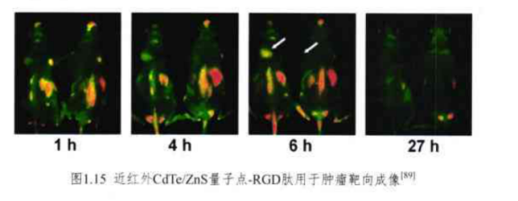 近红外CdTe/ZnS(碲化镉/硫化锌)量子点-RGD肽(波长705mm)