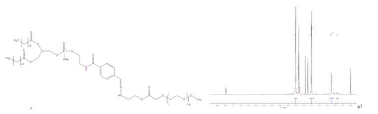 mPEG-DSPE-Hyd腙键PH响应纳米脂质体MPEG-Hyd(腙键)-DSPE