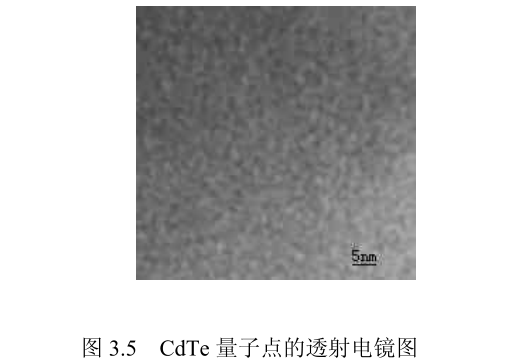 抗人黑素瘤细胞单链抗体偶联碲化镉CdTe量子点的介绍|供应CdTe量子点偶联AFP抗体