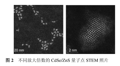 CdSe/ZnS近红外二区核壳型量子点偶联标记单克隆抗体CC49(QDs-CC49荧光探针)