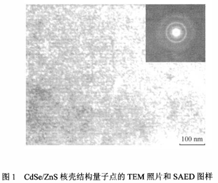 水溶性硒化镉/硫化锌(CdSe/ZnS)量子点偶联细胞角蛋白(Ckphai)抗体