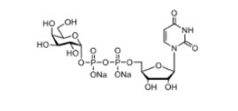 UDP-半乳糖 （UDP-Gal） CAS:137868-52-1