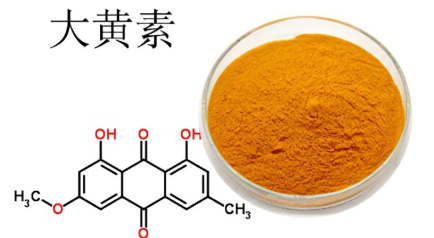R8GD多肽修饰大黄素脂质体的方法以及相关产品
