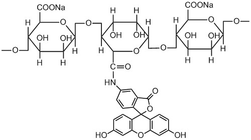 绿色荧光素标记海藻酸钠的Viscosity: 200–500 mPa.s,/100-300 cP/600-900 cP/1,000-1,500 cP