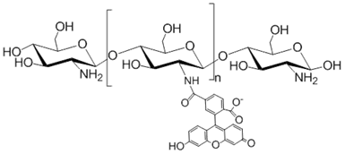 绿色荧光素标记壳聚糖  壳聚糖是一种生物可降解聚合物，它毒性低、生物相容性好被广泛用于药物传递系统。