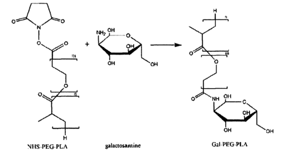 半乳糖修饰PEG-PLA的合成图谱（Gal-PEG-PLA）