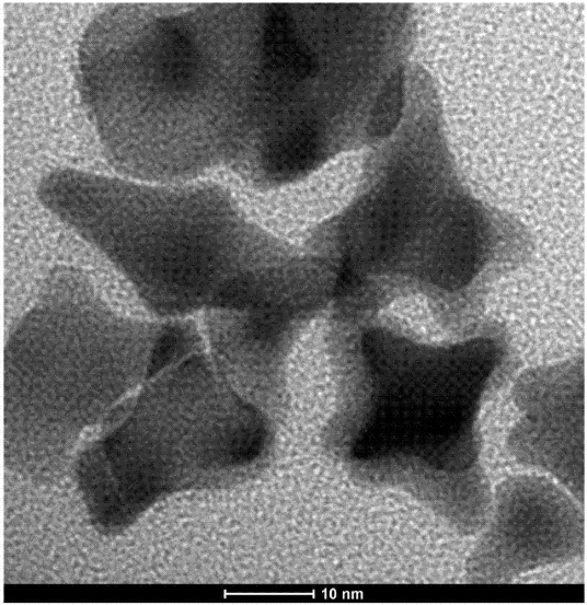 核酸适配体修饰金纳米星的制备方法