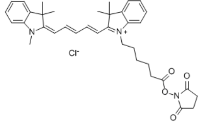 1636001377766363.png Cyhaiine7 NHS ester (Cy7 N-羟基琥珀酰亚胺酯)的使用说明
