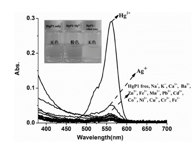 含双碳硫键结构罗丹明的Hg2+荧光探针制备方法