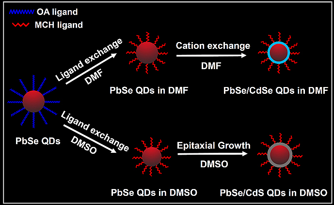 介绍近红外二区量子点硒化铅（​PbSe）的产品特性和制备方法