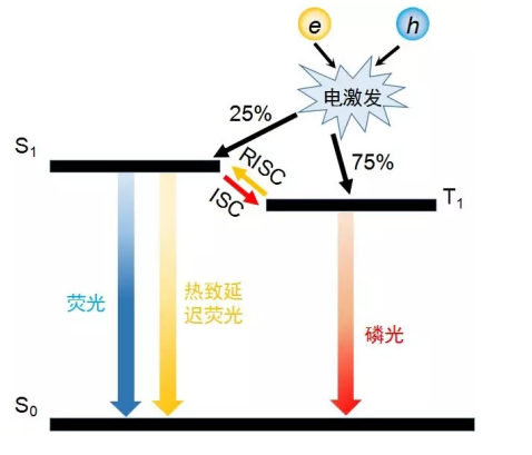 热激活延迟荧光材料的定义，热激活延迟荧光寿命解析（科研）