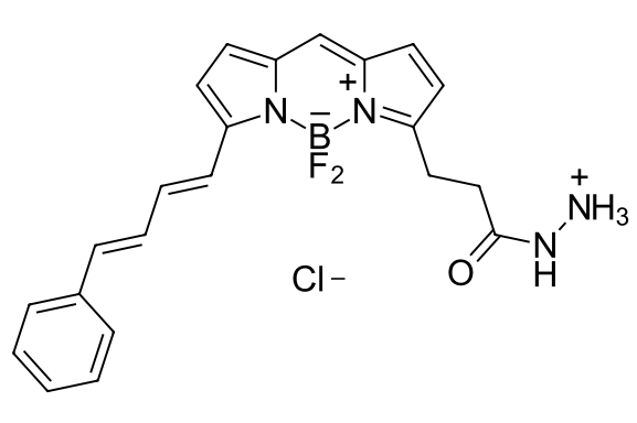 CAS:2183473-40-5，BDP 581/591 hydrazide，具有明亮发光的多用途染料，bodipy荧光染料