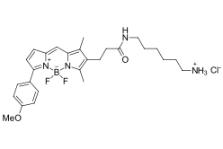 bodipy荧光染料原理|BDP TMR amine,cas2183473-08-5 (free base)