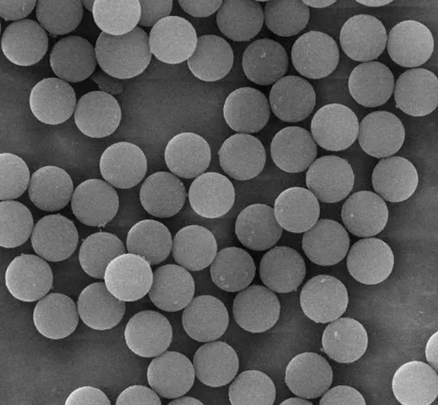 链霉亲和素磁珠负载在磁性微球表面|链霉亲和素-生物素（SA-Biotin）系统的定制合成