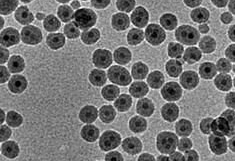 油酸修饰的四氧化三铁 （10nm）/油酸修饰四氧化三铁OA@Fe3O4磁性纳米颗粒的制备方法介绍