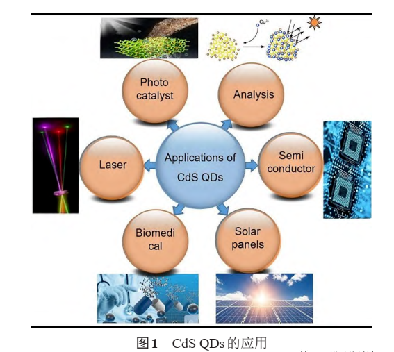 硫化镉量子点修饰AIE荧光探针分子的制备方法|