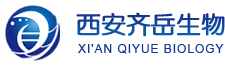 CAS号:1404-93-9,盐酸万古霉素的作用机制是什么？