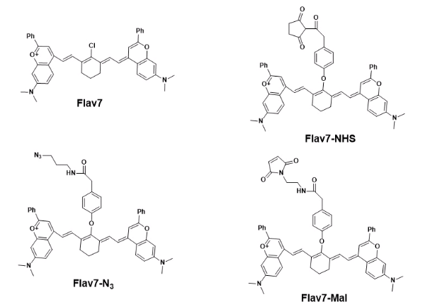 Flav7-NHS ester 有机无机近红外染料 修饰 N-羟基琥珀酰亚胺(NHS)的研究应用