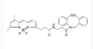 BDP FL DBCO CAS:2093197-94-3是一种可降解 (cleavable) 的 ADC linker，可用于合成抗体偶联药物 (ADC)