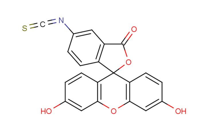 fitc-壳六糖，FITC-Chitohexaose Hydrochloride,分子式：C36H68N6O25·6HCl